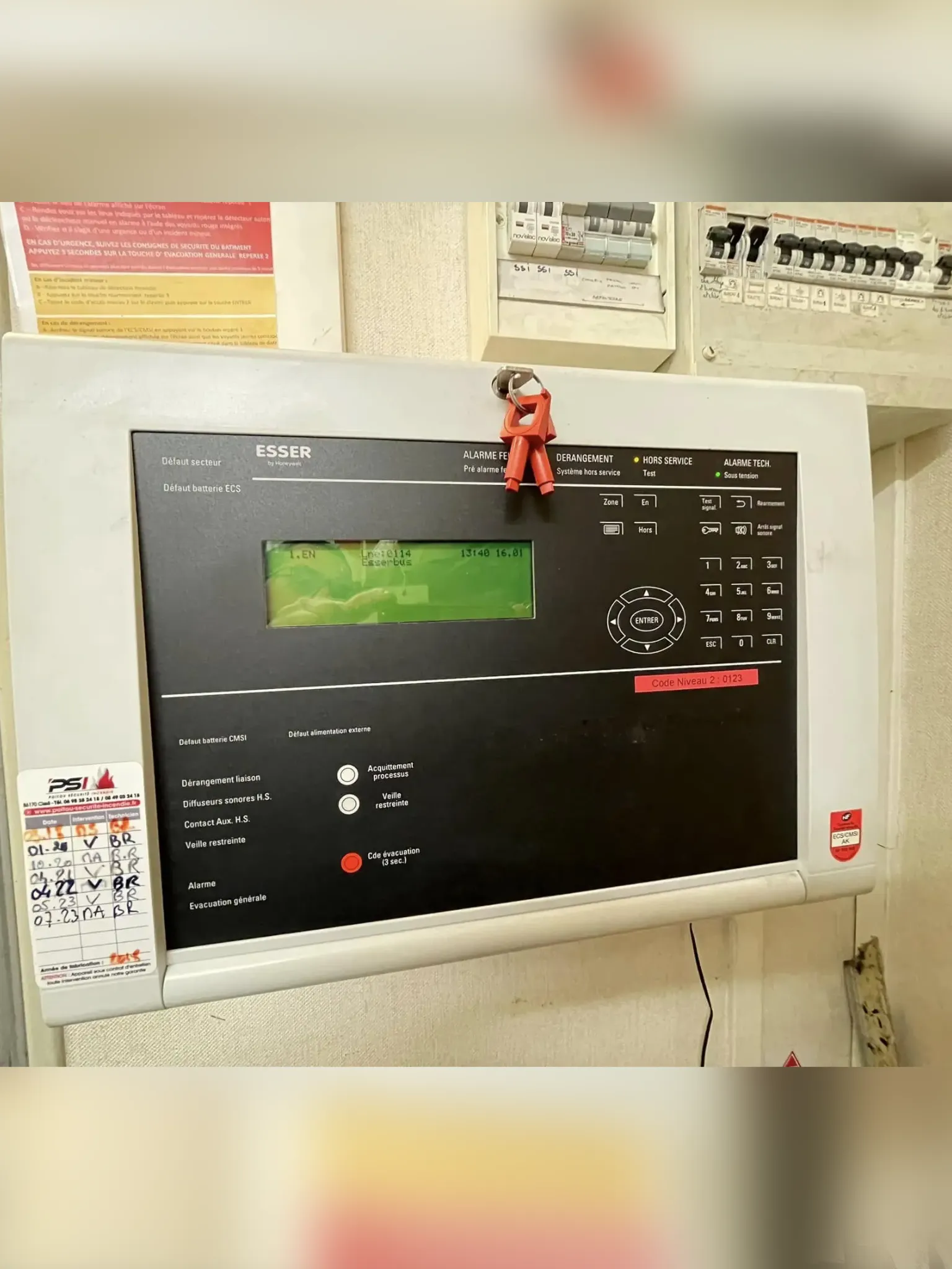 Slide Image